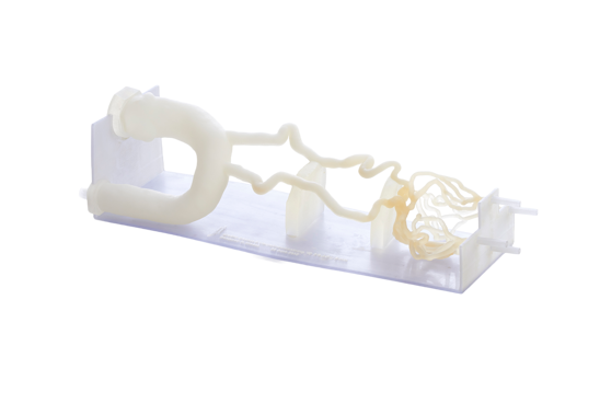 neuro vascular DAP 3d Print